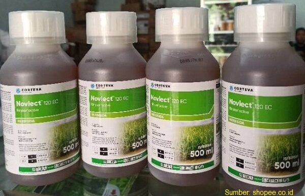 Cara Penggunaan Herbisida Novlect™ 120 EC agar Gulma Padi Tabela Cepat Mati Herbisida Novlect™ 120 EC merupakan racun yang ampuh mematikan gulma padi tabela (tabur benih langsung).