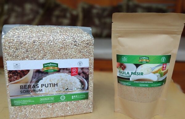 Manfaat Sorgum sebagai Antivirus, Antiinflamasi, Peningkat Sistem Kekebalan Tubuh, serta Penurun Kadar Kolesterol dan Gula Darah Beras putih sorgum cocok buat penderita gangguan pencernaan (celiac desease).