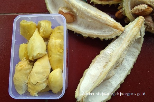 Tekstur daging buah durian Bawor ini puket (manis, berlemak, dan beralkohol).