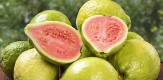 7 Manfaat Kesehatan Mengonsumsi Buah Jambu Biji Kandungan kimia jambu biji, termasuk jambu kristal, antara lain vitamin C, vitamin A, vitamin E, besi, fosfor, kalsium, flavonoid, dan kelompok polifenol.