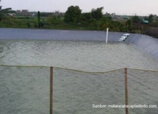 7 Keunggulan Geomembrane HDPE sebagai Pelapis Tambak Udang Vaname Plastik geomembrane mengurangi risiko penyakit dan perkembangbiakan bakteri pada tambak udang HDPE.