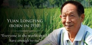 Bapak Padi Hibrida Yuan Longping Wafat pada Usia 91 Tahun Setiap orang di dunia, menurut Yuan Longping, membutuhkan makanan yang cukup.