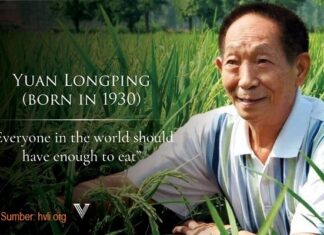Bapak Padi Hibrida Yuan Longping Wafat pada Usia 91 Tahun Setiap orang di dunia, menurut Yuan Longping, membutuhkan makanan yang cukup.