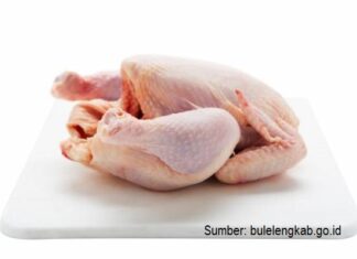 Daging Ayam Sumber Protein Keluarga dengan Harga Terjangkau Asam amino daging ayam dapat berfungsi memperbaiki sel-sel tubuh yang rusak.
