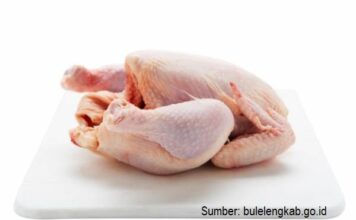 Daging Ayam Sumber Protein Keluarga dengan Harga Terjangkau Asam amino daging ayam dapat berfungsi memperbaiki sel-sel tubuh yang rusak.