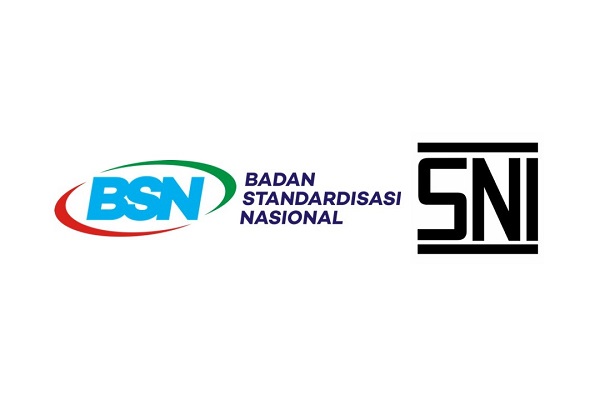 Badan Standardisasi Nasional sudah berhasil mengupayakan beberapa SNI menjadi standar internasional seperti SNI Mi Instan yang diterima oleh Codex, SNI Tempe Kedelai, Tepung Sagu, Lada Hitam, Lada Putih, Pala, dan Bawang Merah.