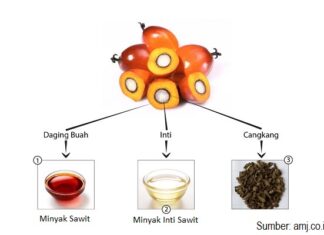 Minyak Sawit Pemicu Kanker Itu Mitos Lo, Bukan Fakta Kandungan vitamin A dan vitamin E minyak sawit dapat berperan sebagai antioksidan untuk mengatasi radikal bebas, penyebab kanker.