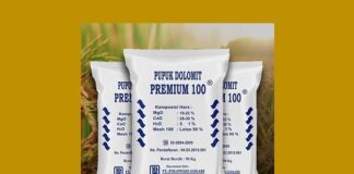 Manfaat dan Cara Aplikasi Pupuk Dolomit untuk Padi Sawah Manfaat pupuk dolomit menyuburkan tanah.
