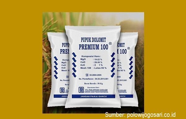 Manfaat dan Cara Aplikasi Pupuk Dolomit untuk Padi Sawah Manfaat pupuk dolomit menyuburkan tanah.