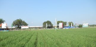 Unsur Hara Esensial dan Benefisial untuk Optimalkan Pertumbuhan dan Kesehatan Tanaman Unsur hara esensial dan benefisial bermanfaat untuk mengoptimalkan pertumbuhan dan kesehatan tanaman.