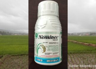 Cara Aplikasi Herbisida Nominee 103 OF untuk Mengendalikan Gulma Padi Sawah Cara aplikasi herbisida Nominee 103 OF untuk mengendalikan gulma padi sawah.