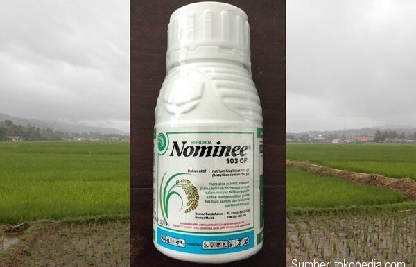 Cara Aplikasi Herbisida Nominee 103 OF untuk Mengendalikan Gulma Padi Sawah Cara aplikasi herbisida Nominee 103 OF untuk mengendalikan gulma padi sawah.