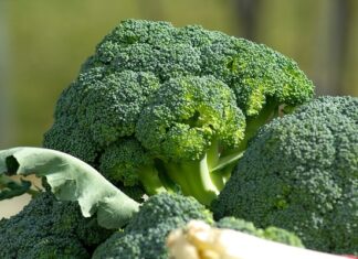 20 Jenis Makanan yang Memperkuat Sistem Imun Tubuh Brokoli mengandung vitamin A, C, E, serat, dan antioksidan, yang dapat memperkuat sistem imun tubuh.