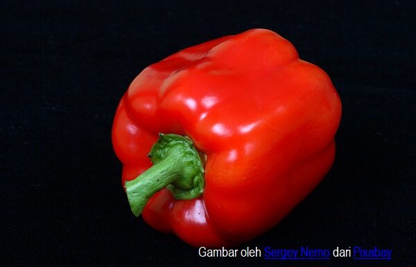 5 Vitamin dan 3 Mineral dari Makanan yang Meningkatkan Daya Tahan Tubuh Paprika merah merupakan salah satu makanan yang kaya vitamin C.
