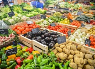 Pasar Premium Buah-buahan dan Sayuran Meningkat 150% pada Masa Pandemi Pasar premium buah-buahan dan sayuran meningkat 130 – 150%.
