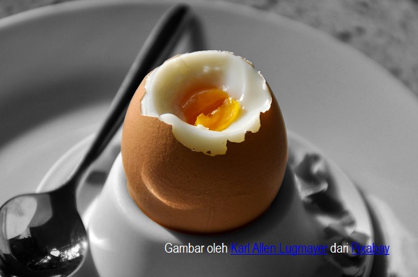 Telur mengandung vitamin A, yang dapat meningkatkan respon antibodi.