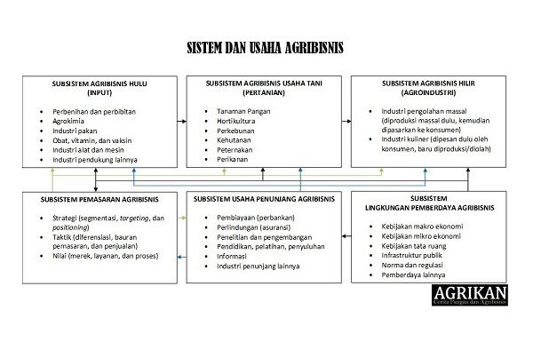 Pendekatan Sistem dan Usaha Agribisnis yang Diterapkan Agrikan.id Sistem dan usaha agribisnis terdiri atas subsistem agribisnis hulu, agribisnis usaha tani, agribisnis hulu, pemasaran agribisnis, usaha penunjang agribisnis, dan lingkungan pemberdaya agribisnis.