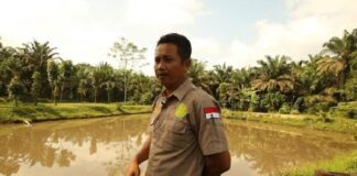 Petani Plasma Sawit Menikmati Warisan Soeharto dan Kebijakan Jokowi Petani plasma sawit menikmati warisan Soeharto.