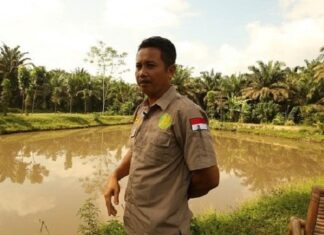 Petani Plasma Sawit Menikmati Warisan Soeharto dan Kebijakan Jokowi Petani plasma sawit menikmati warisan Soeharto.