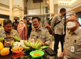 Pasar Tani Goes to Mall Membuka Peluang Ekspor Sayuran dan Buah-buahan Pasar Tani Goes to Mall membuka peluang ekspor hortikultura.