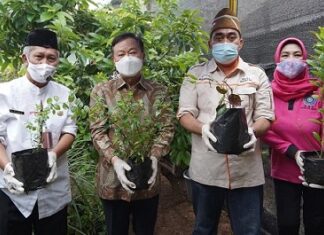 Korindo Menyumbang Bibit untuk Kampung Herbal Duren Tiga Jakarta Korindo menyumbang bibit untuk Kampung Herbal
