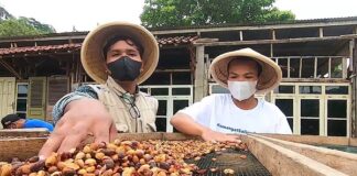 Menerangi Kopi Sang Intan Merah dan Wisata Alam Temanggung Kopi sang intan merah Temanggung