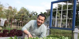 Cara Baru East West Seed Meningkatkan Kesejahteraan Petani East West Seed meningkatkan kesejahteraan petani