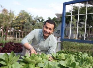 Cara Baru East West Seed Meningkatkan Kesejahteraan Petani East West Seed meningkatkan kesejahteraan petani