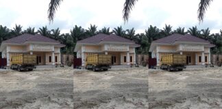 Manisnya Kemitraan Petani Plasma Sawit Asian Agri Kemitraan petani plasma sawit Asian Agri