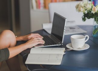 Peluang Mengembangkan Blog Agribisnis Mengembangkan blog agribisnis