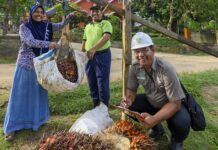 Komitmen Asian Agri Meningkatkan Kesejahteraan Petani Sawit Asian Agri meningkatkan kesejahteraan petani sawit