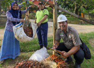 Komitmen Asian Agri Meningkatkan Kesejahteraan Petani Sawit Asian Agri meningkatkan kesejahteraan petani sawit