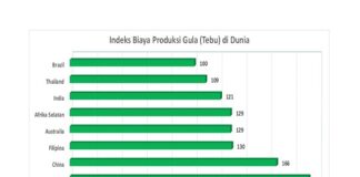 Biaya Produksi Gula Tebu di Indonesia Termahal di Dunia Biaya produksi gula tebu di Indonesia termahal