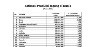 15 Negara Produsen Terbesar Jagung di Dunia Tahun 2021 negara produsen terbesar jagung di dunia