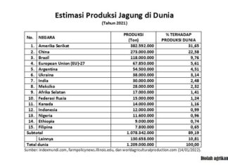 15 Negara Produsen Terbesar Jagung di Dunia Tahun 2021 negara produsen terbesar jagung di dunia