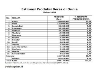 15 Negara Penghasil Beras Terbesar di Dunia Tahun 2021 15 negara penghasil beras terbesar 2021