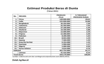 15 Negara Penghasil Beras Terbesar di Dunia Tahun 2021 15 negara penghasil beras terbesar 2021