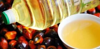 Cara Mengendalikan Harga Kedelai dan Minyak Goreng Sawit mengendalikan harga minyak goreng sawit