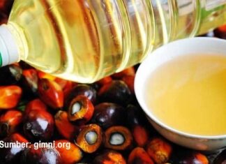 Cara Mengendalikan Harga Kedelai dan Minyak Goreng Sawit mengendalikan harga minyak goreng sawit