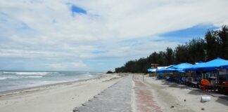 Cara Baru Rohidin Mersyah Menata Pantai Panjang Bengkulu Pantai Panjang Bengkulu dengan pasir putih