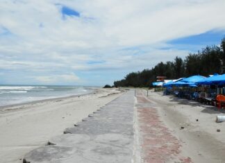 Cara Baru Rohidin Mersyah Menata Pantai Panjang Bengkulu Pantai Panjang Bengkulu dengan pasir putih