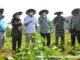Kacang Koro Pedang Dapat Menghemat Devisa Impor Kedelai Kacang koro pedang dapat menghemat devisa