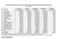 15 Provinsi Penghasil Beras Terbesar di Indonesia Tahun 2021 provinsi penghasil beras tahun 2021