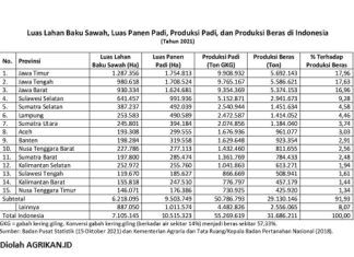 15 Provinsi Penghasil Beras Terbesar di Indonesia Tahun 2021 provinsi penghasil beras tahun 2021