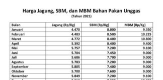 Harga Bahan Pakan Unggas di Indonesia Lebih Mahal dari Brazil harga bahan pakan unggas
