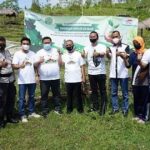 FIFGROUP Menghijaukan Bumi dengan Menanam 113 Ribu Pohon FIFGROUP menghijaukan bumi