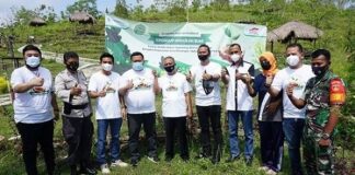 FIFGROUP Menghijaukan Bumi dengan Menanam 113 Ribu Pohon FIFGROUP menghijaukan bumi