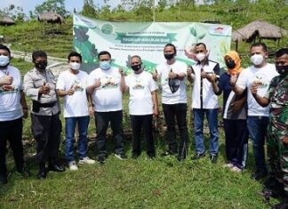 FIFGROUP Menghijaukan Bumi dengan Menanam 113 Ribu Pohon FIFGROUP menghijaukan bumi