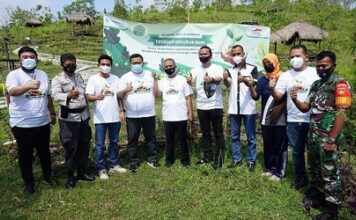 FIFGROUP Menghijaukan Bumi dengan Menanam 113 Ribu Pohon FIFGROUP menghijaukan bumi