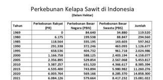 Perkembangan Perkebunan Sawit Rakyat, Negara, dan Swasta perkembangan perkebunan sawit di Indonesia